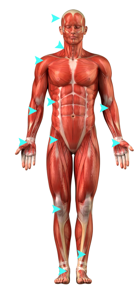 Injuries and Conditions on the Body